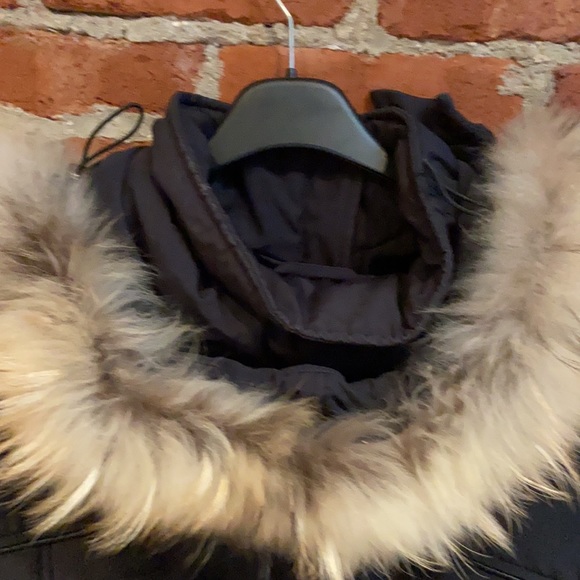 North Side Winter Coat - Picture 11 of 14